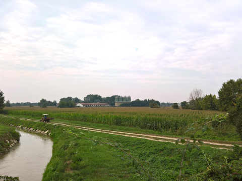 Rural landscape landscape