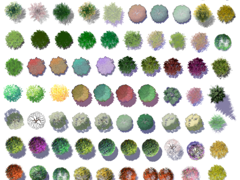 Psd non-stingy small fresh flat plant color plan