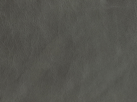 dark gray Leather Fine lines