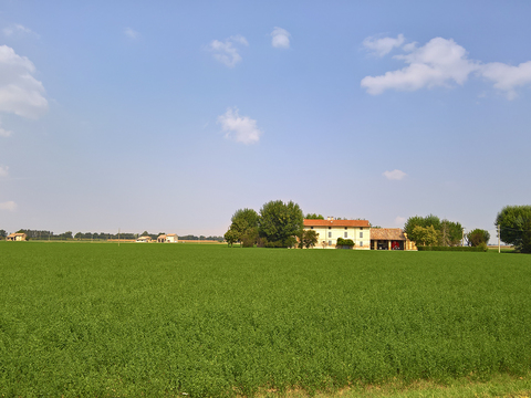 Rural landscape landscape