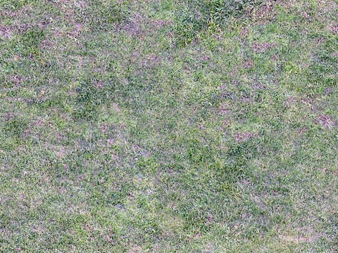 Seamless garden courtyard withered yellow grass turf lawn ground