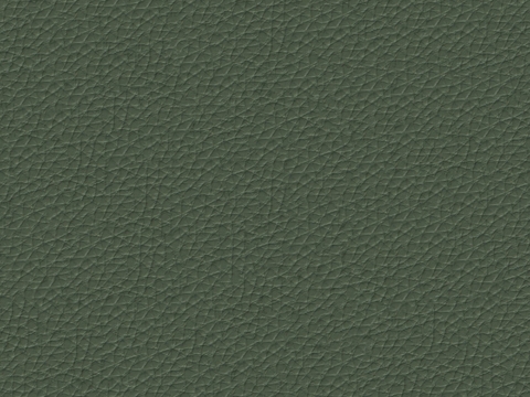 Dark green textured leather