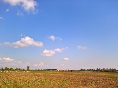 Rural landscape landscape