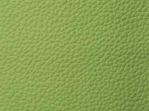 light green leather