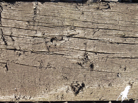 Wood-Old Wood