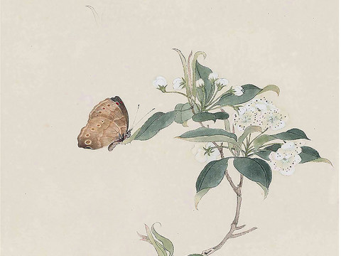 Chinese Decorative Painting of Flowers and Birds