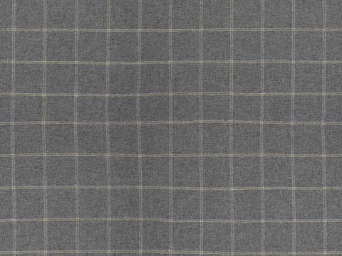 Gray check fabric