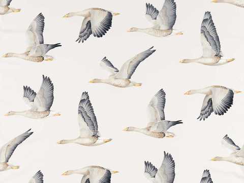 Wild Goose Texture Wallpaper