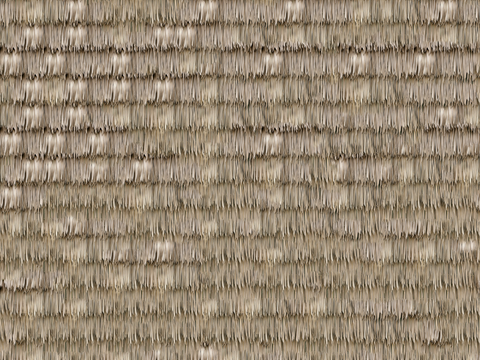 Thatched roof (2)