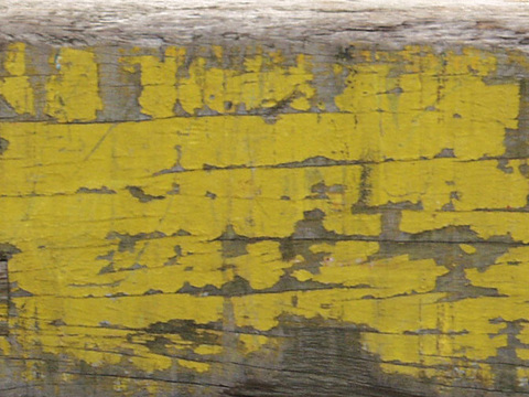 Wood-Plywood-Paint