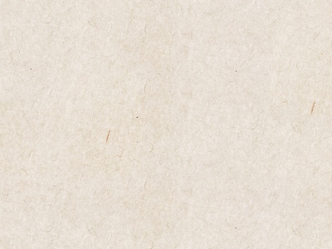 Seamless Rice Paper Texture (2)