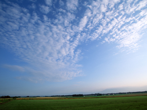 Blue Sky White Clouds Sky Exterior