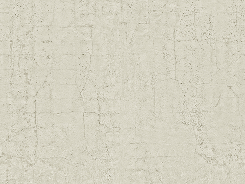 Seamless gray white rough concrete cement texture paint wall