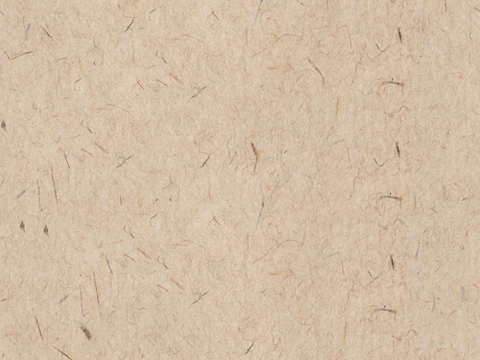 Seamless Beige Rice Paper Bred Edge Paper (2)