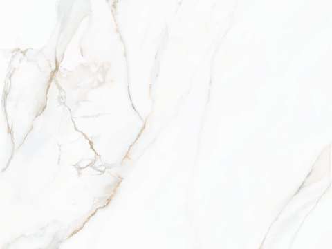 Fish Maw Gold White Super Clear Marble