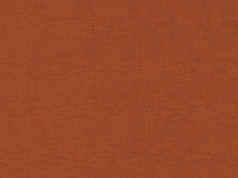 Orange Fabric Texture Paint