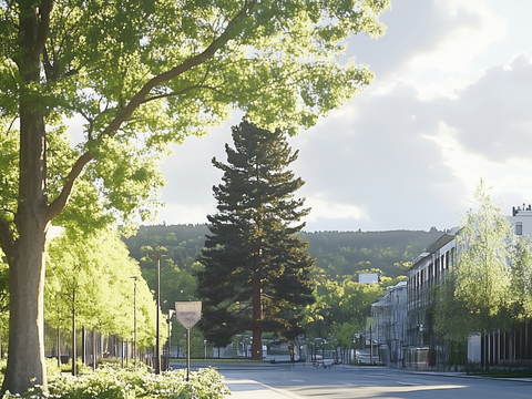 Daytime Park Street Landscape Exterior