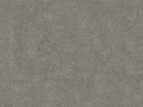 Seamless micro-cement texture paint Diatom mud emulsion paint Wall coating