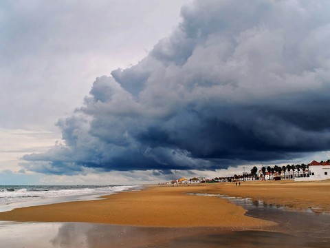 Seaside Scenery