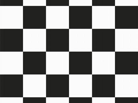 Modern Simple Black and White Plaid Tile