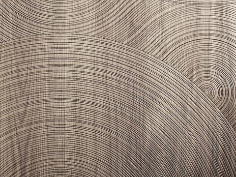 Carved wood veneer