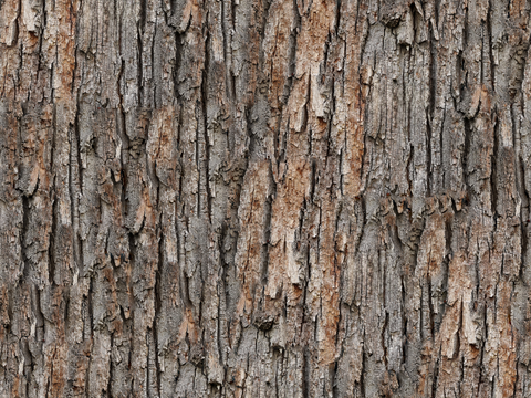 Seamless pine bark 2