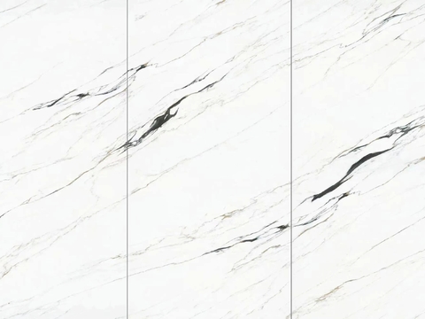 Thousand City Ink White Marble Rock Slab