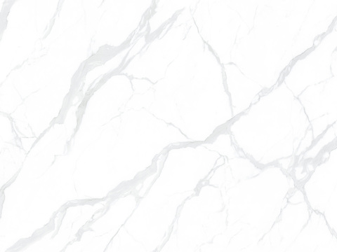 Special Grade Snow White Marble Rock Slab