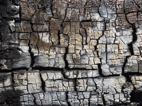 Timber-Burned wooden beams 10 sheets