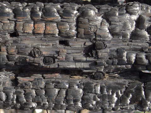 Timber-Burned wooden beams 10 sheets