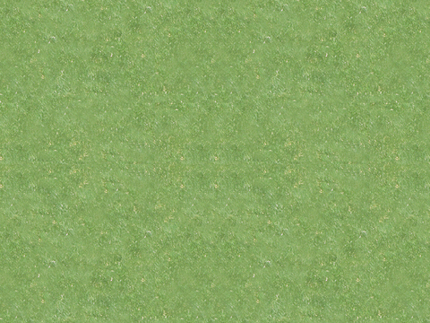 Lawn grass HD