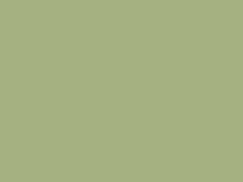 Olive Green Solid Color Paint Wall Panel Cabinet Board