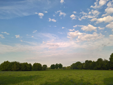 Rural landscape landscape