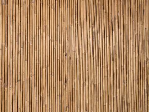 Bamboo Fence