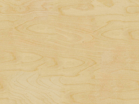 Seamless Light Color Log Plywood Wood veneer Poodles Particleboard Pine Board