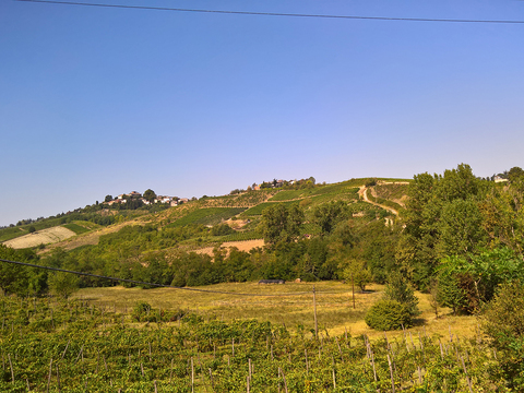 Rural landscape landscape