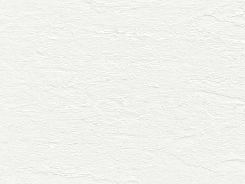 White Texture Paint