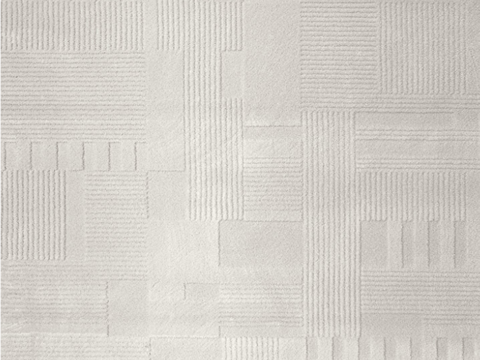 Modern minimalist carpet