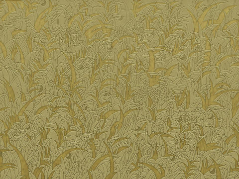 Yellow green plant wallpaper