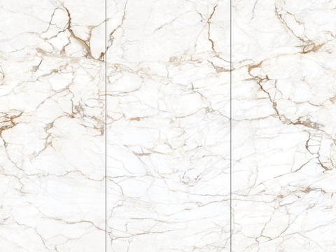 Fish maw gold (five lines) marble slab