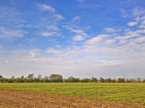 Rural landscape landscape