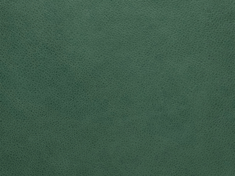 Green leather