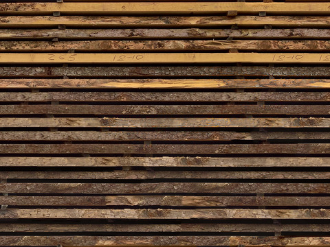 Seamless wood log section texture