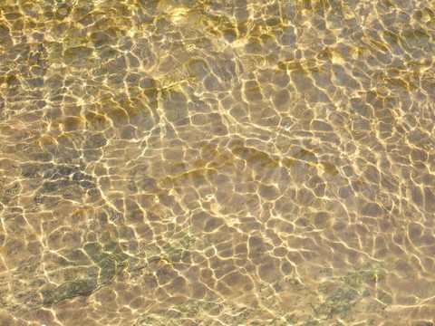 Sea Surface Real Water Pattern Water Ripple