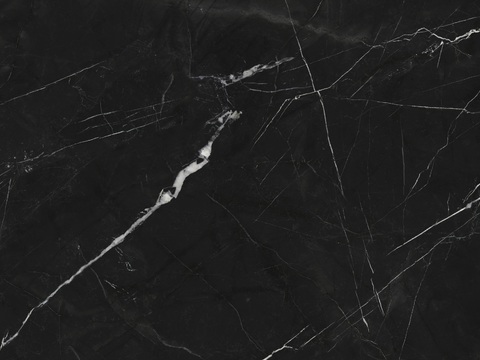 Agita High Grade Black and White Root Rock Slab Marble