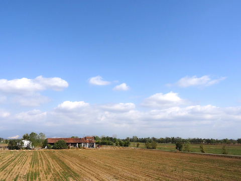 Rural landscape landscape