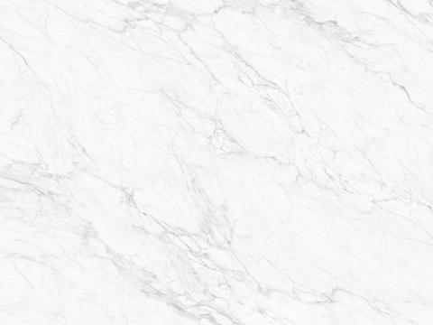 Sardin White Large Size Marble Rock Slab