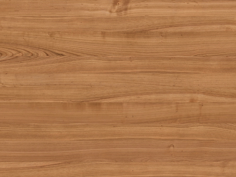 Teak wood grain wood veneer