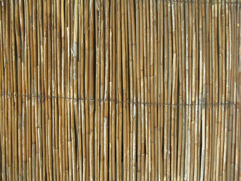 Rattan Woven Wood