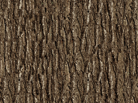 bark